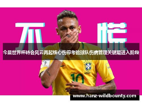 今晨世界杯转会风云再起核心伤停考验球队伤病管理关键期进入阶段 今晨世界杯转会风云再起核心伤停考验球队伤病管理关键期进入阶段