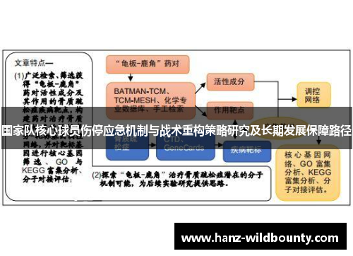 国家队核心球员伤停应急机制与战术重构策略研究及长期发展保障路径 国家队核心球员伤停应急机制与战术重构策略研究及长期发展保障路径
