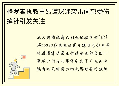 格罗索执教里昂遭球迷袭击面部受伤缝针引发关注 格罗索执教里昂遭球迷袭击面部受伤缝针引发关注
